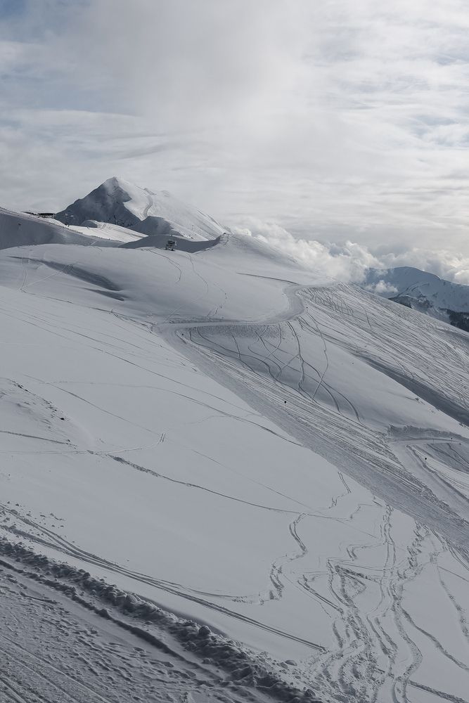 Фотография автора VELES YANA