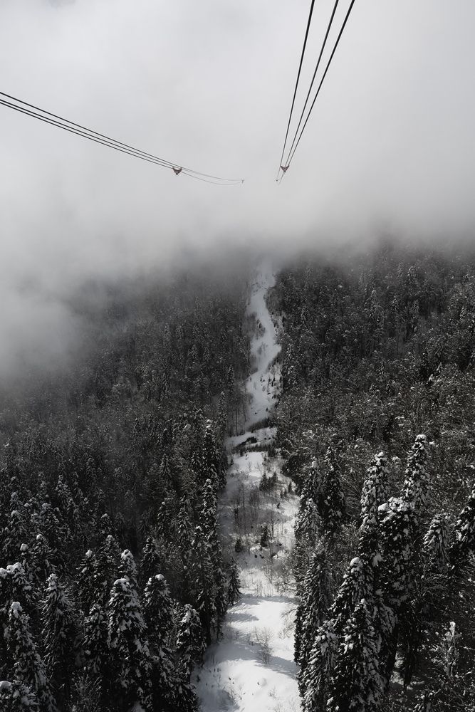 Фотография автора VELES YANA