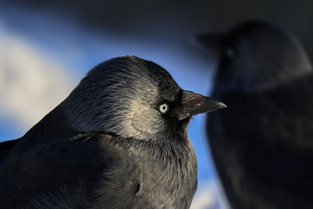 Фотография автора Ivanova Inga