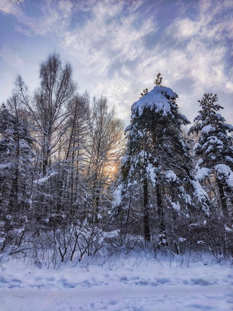 Фотография автора Олеся Хижко