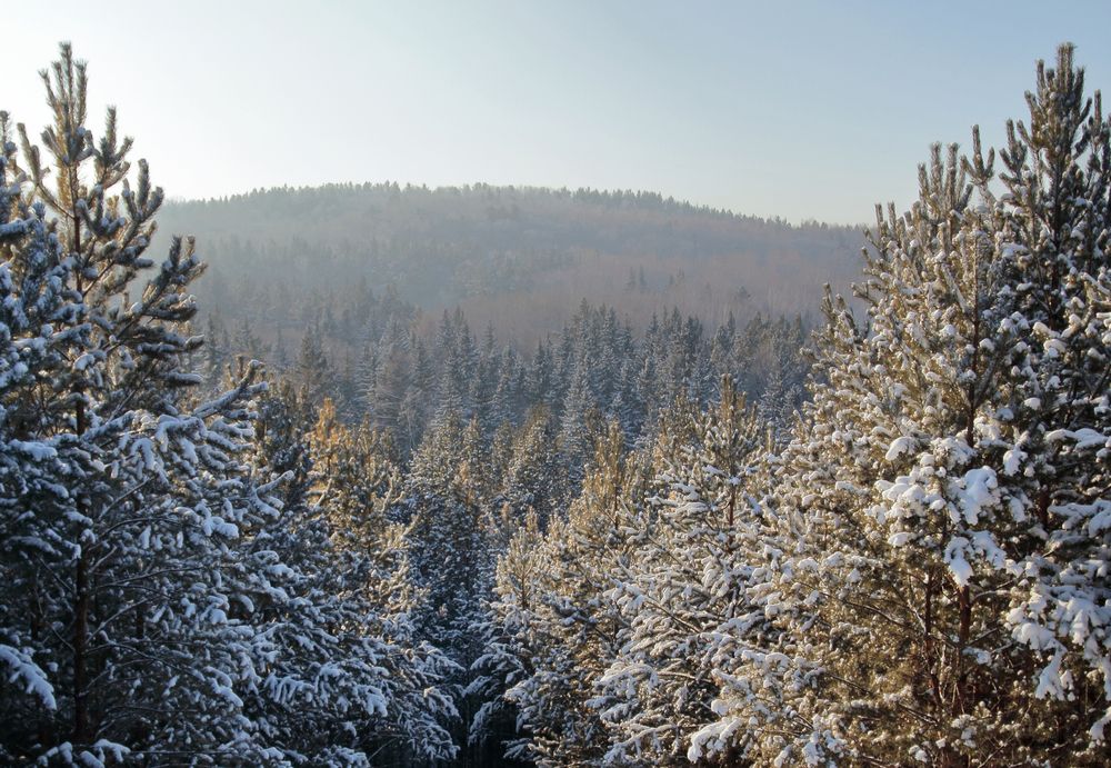 Photograph by Андрей Жильцов