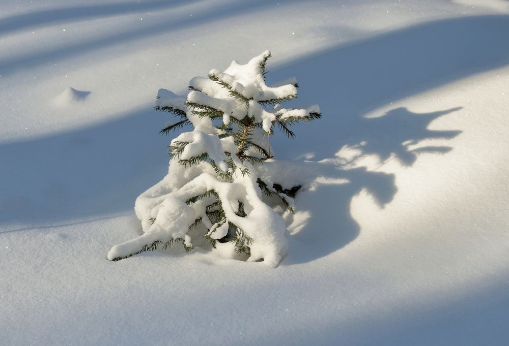 Photograph by Андрей Жильцов