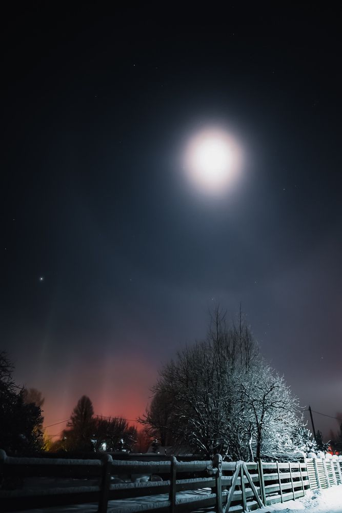 Photograph by Ольга Леонова