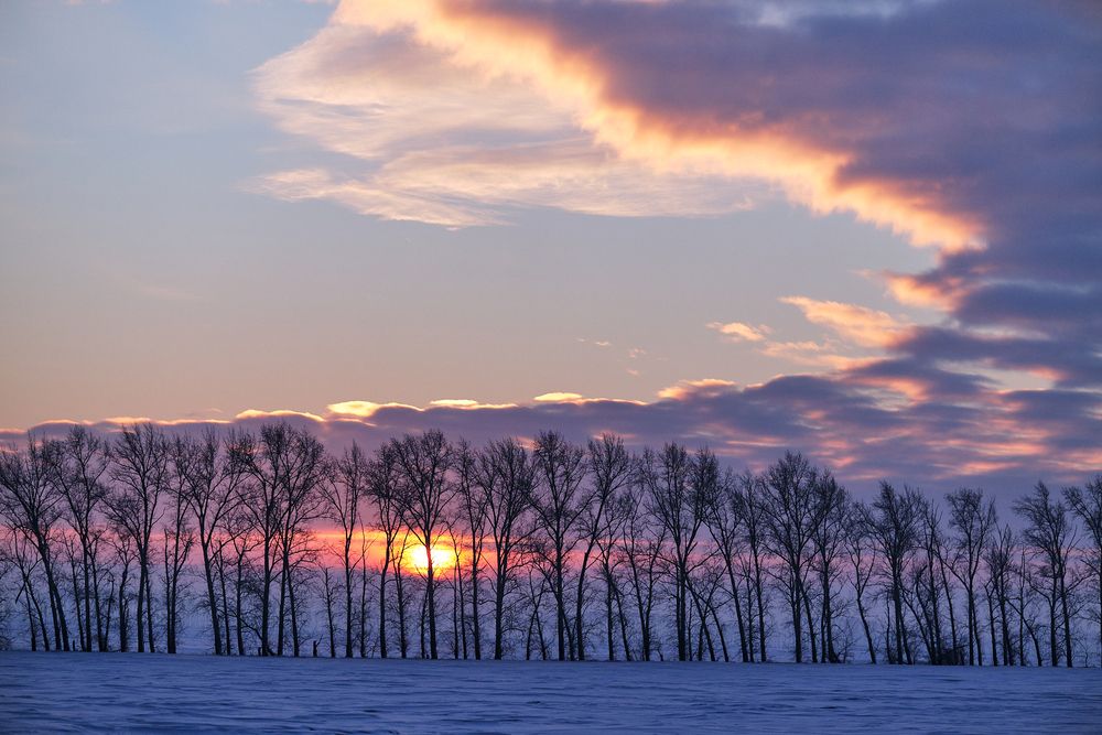 Photograph by Михаил Рогачев