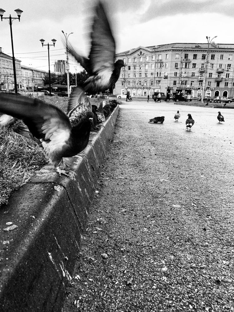 Photograph by Алексей Хасанов