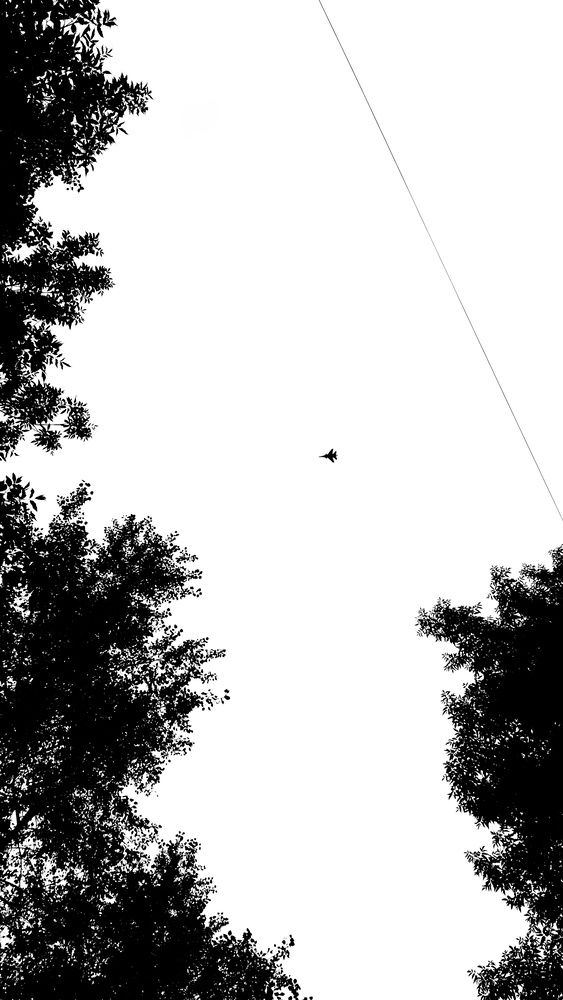 Photograph by Алексей Хасанов