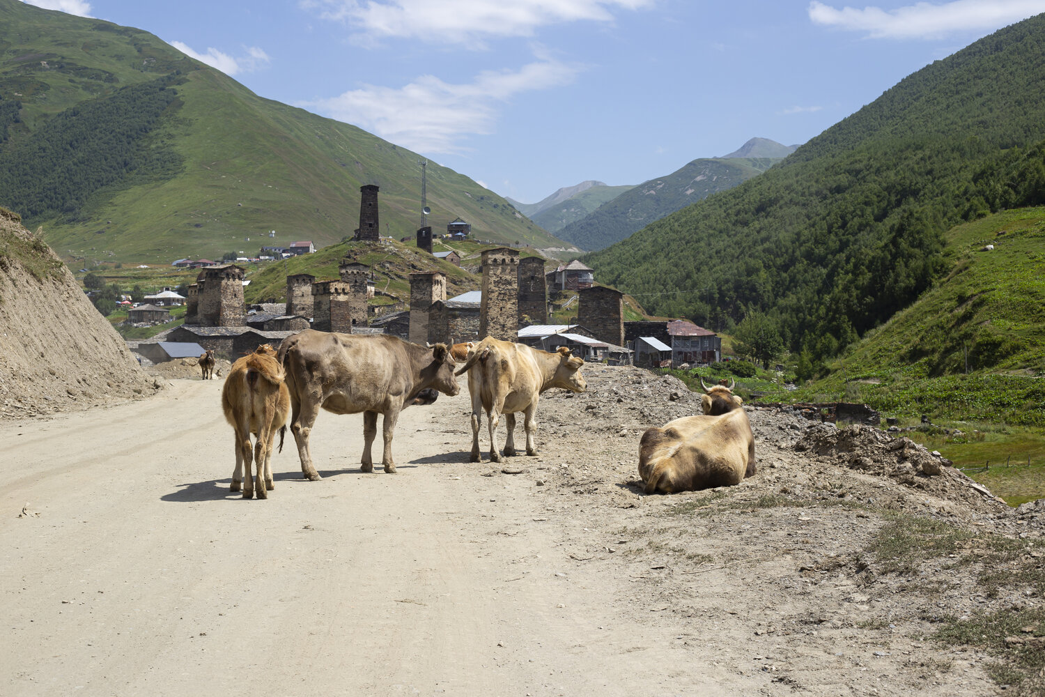 Photo #13140676