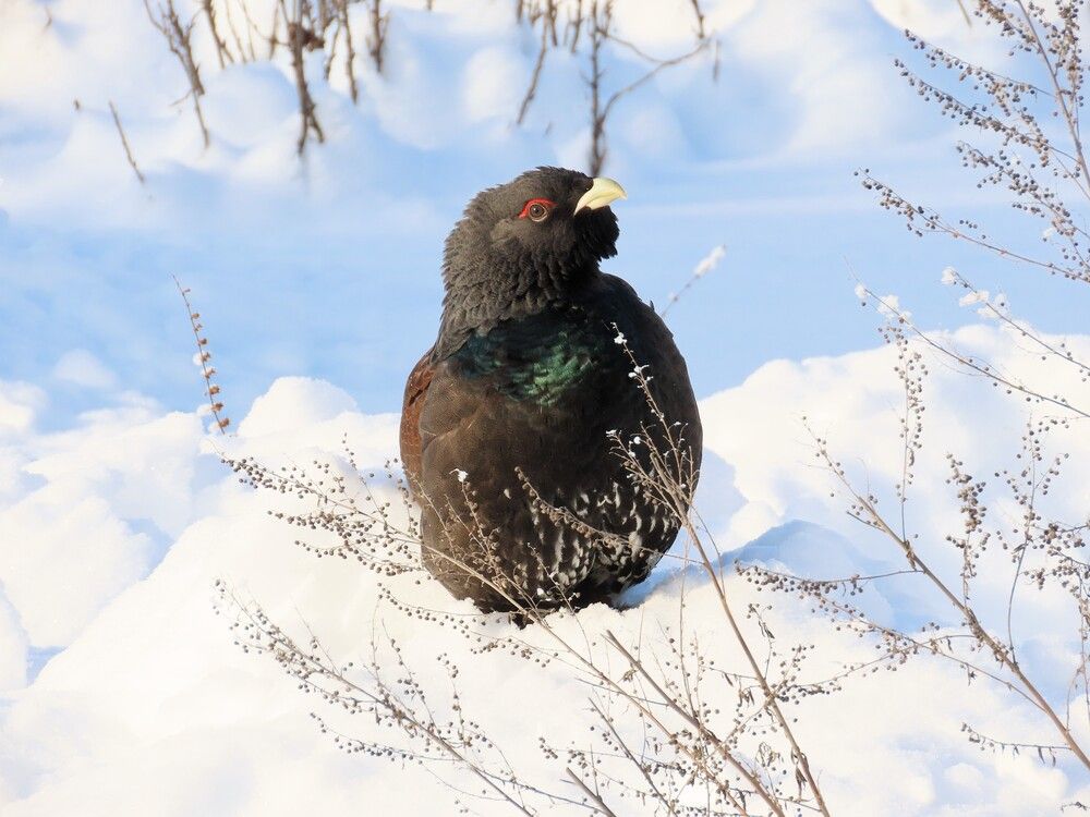 Photograph by Ольга Митрофанова