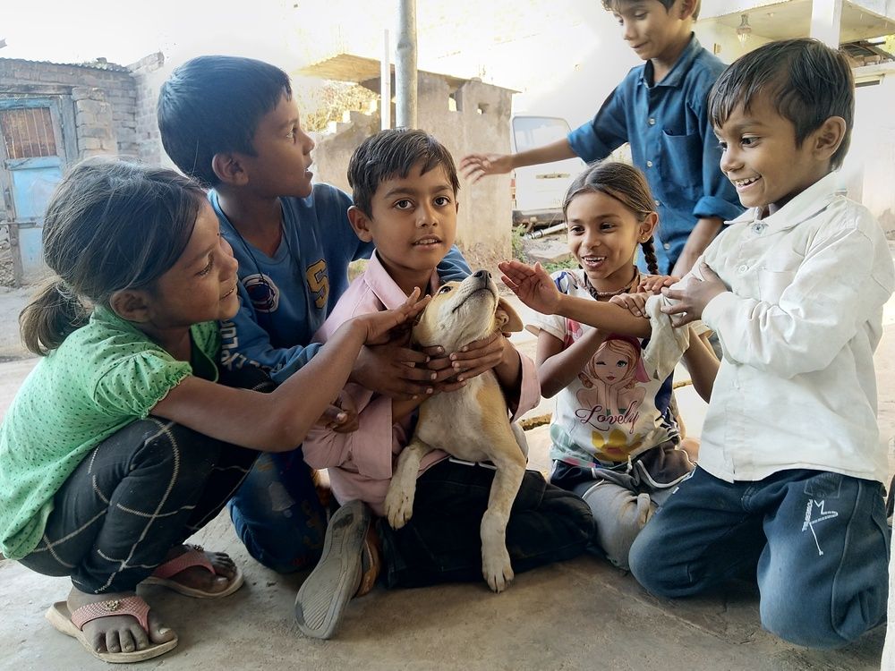 Photograph by sumit sitole