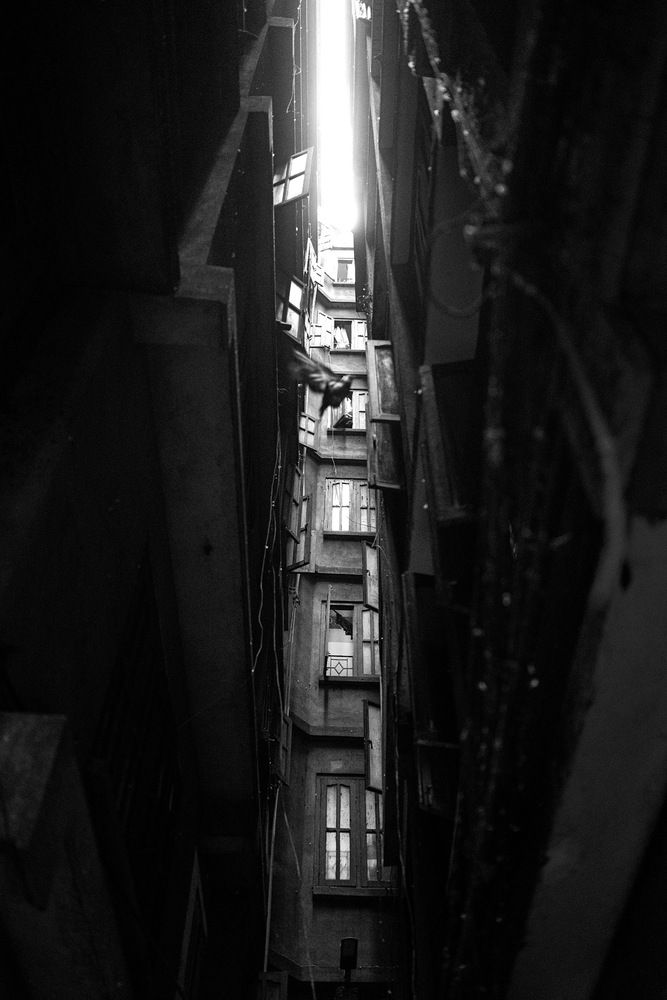 Photograph by Елена Гридневская