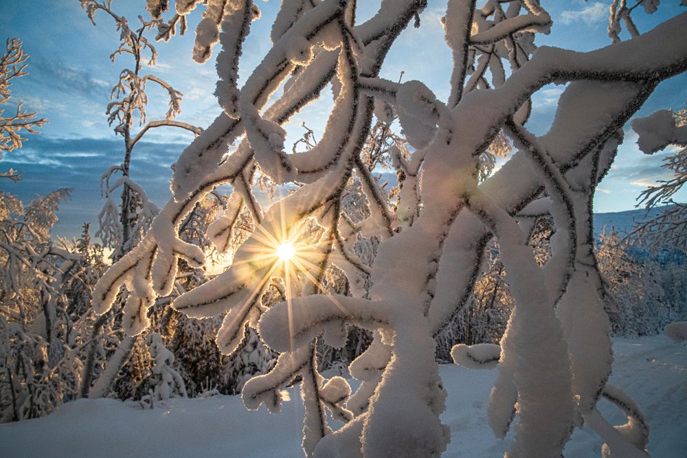 Photograph by Юрий Платухин