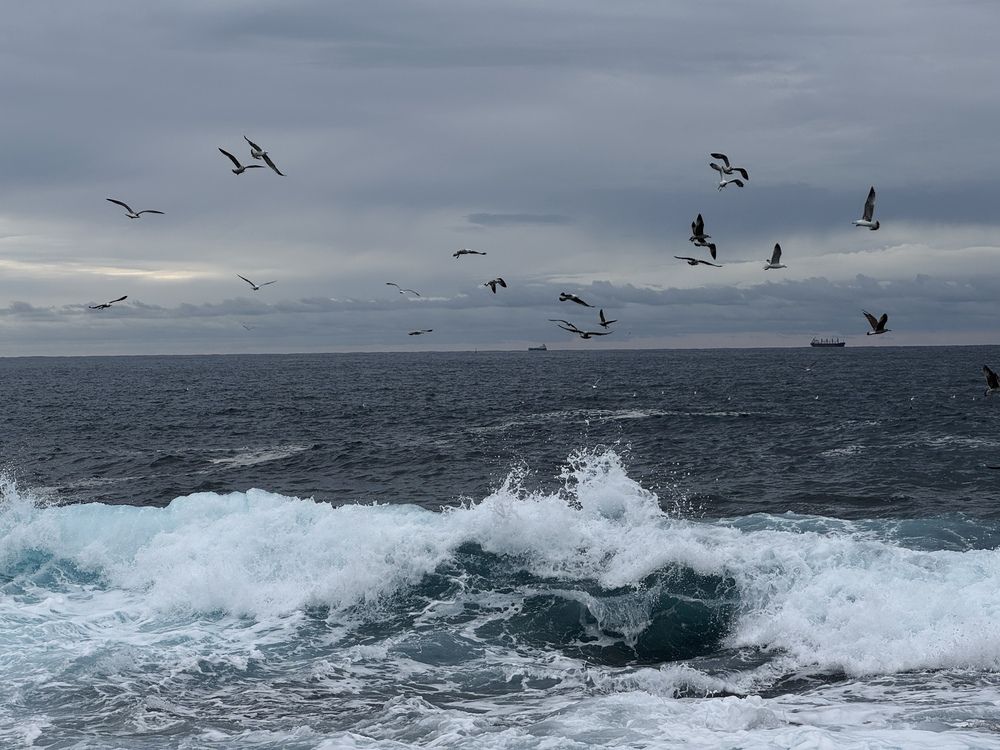 Photograph by Marina Odintsova