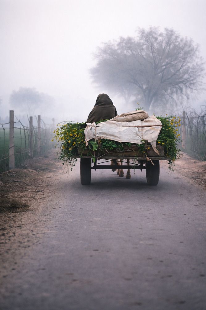 Photograph by Manav