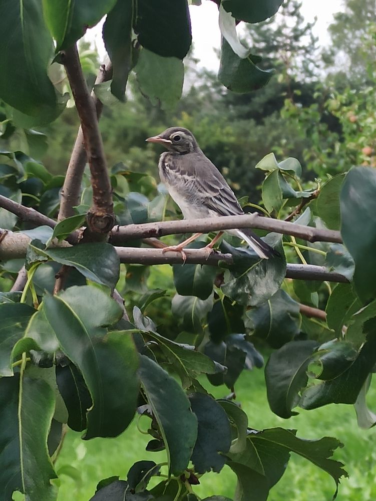 Photograph by Иван