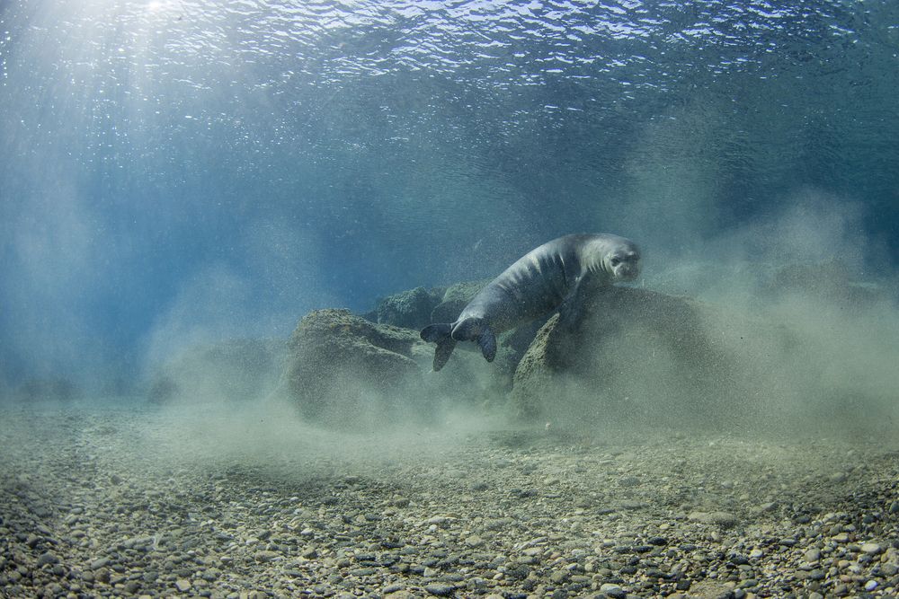 Photograph by Оксана Каменская