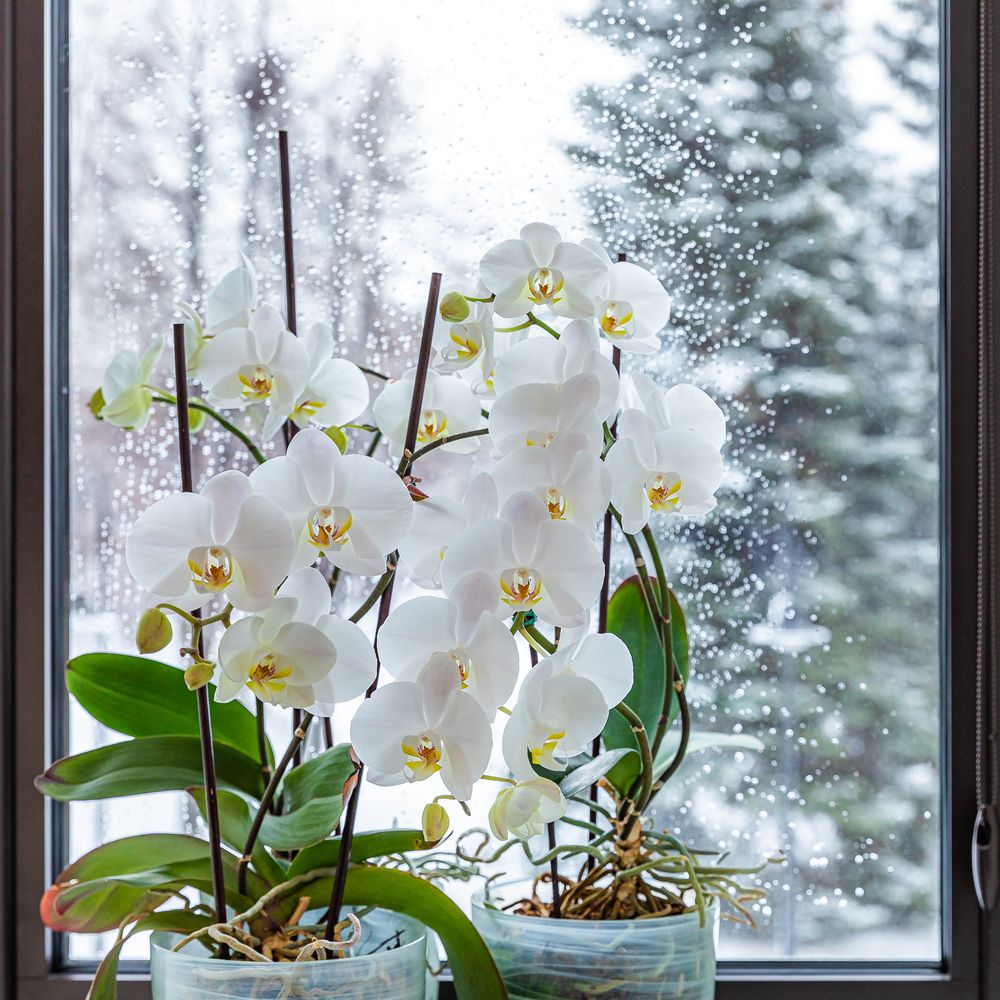 Photograph by Денис Базаров