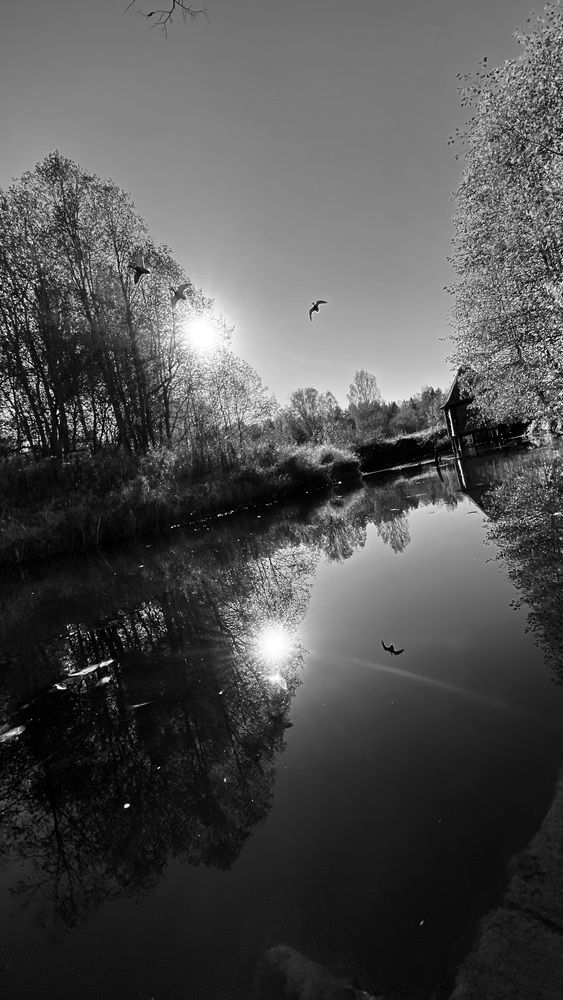 Photograph by Гудкова Ольга