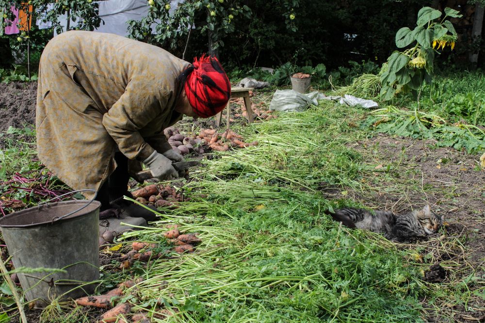 Photograph by Оксана Леонтьева