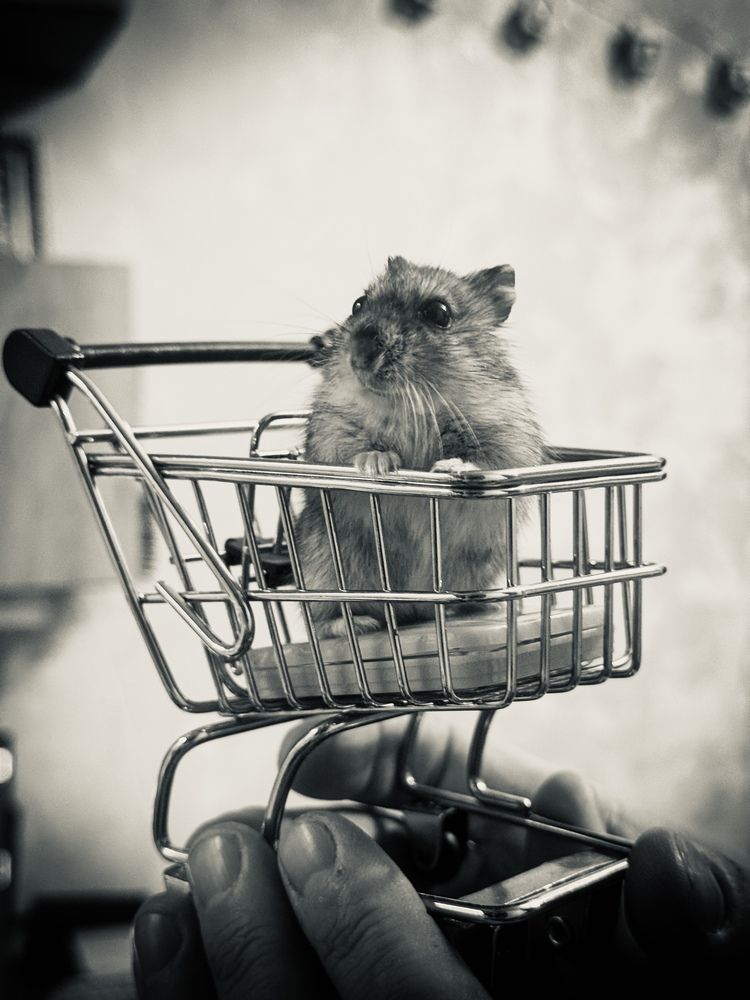 Photograph by Анна Потапова