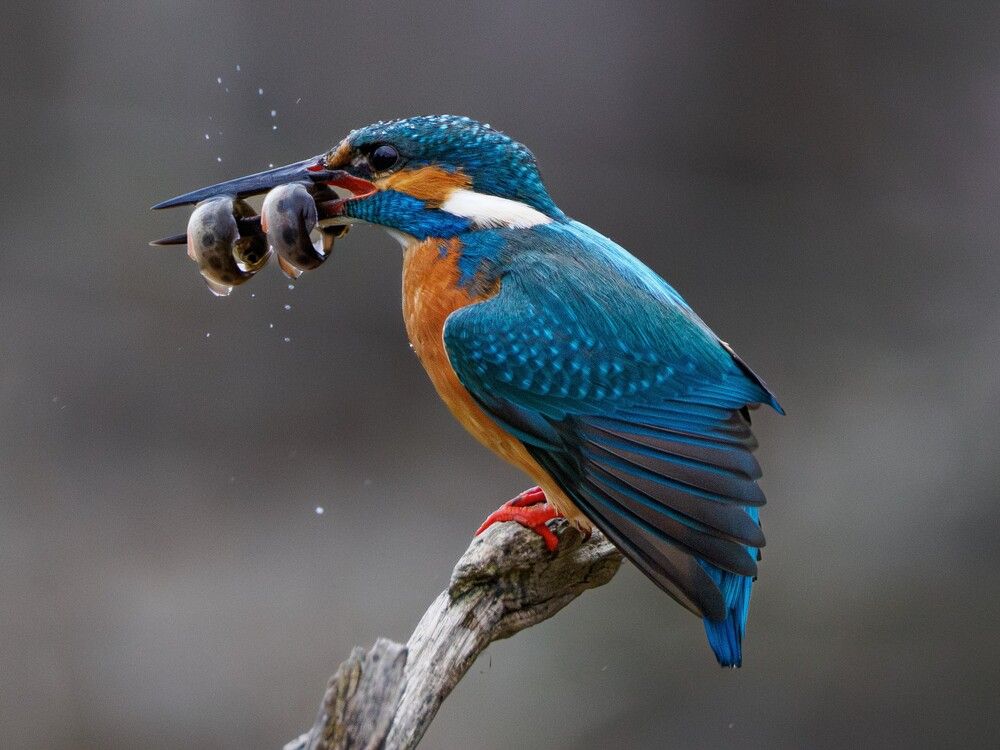 Photograph by Daniela Retzer