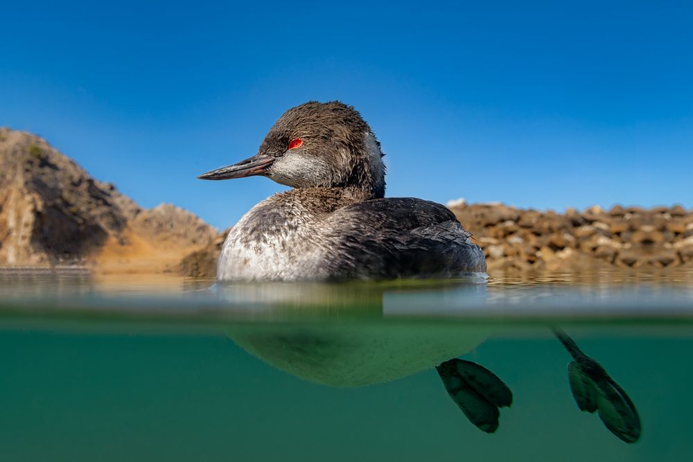 Photograph by Eliud Gil Samaniego