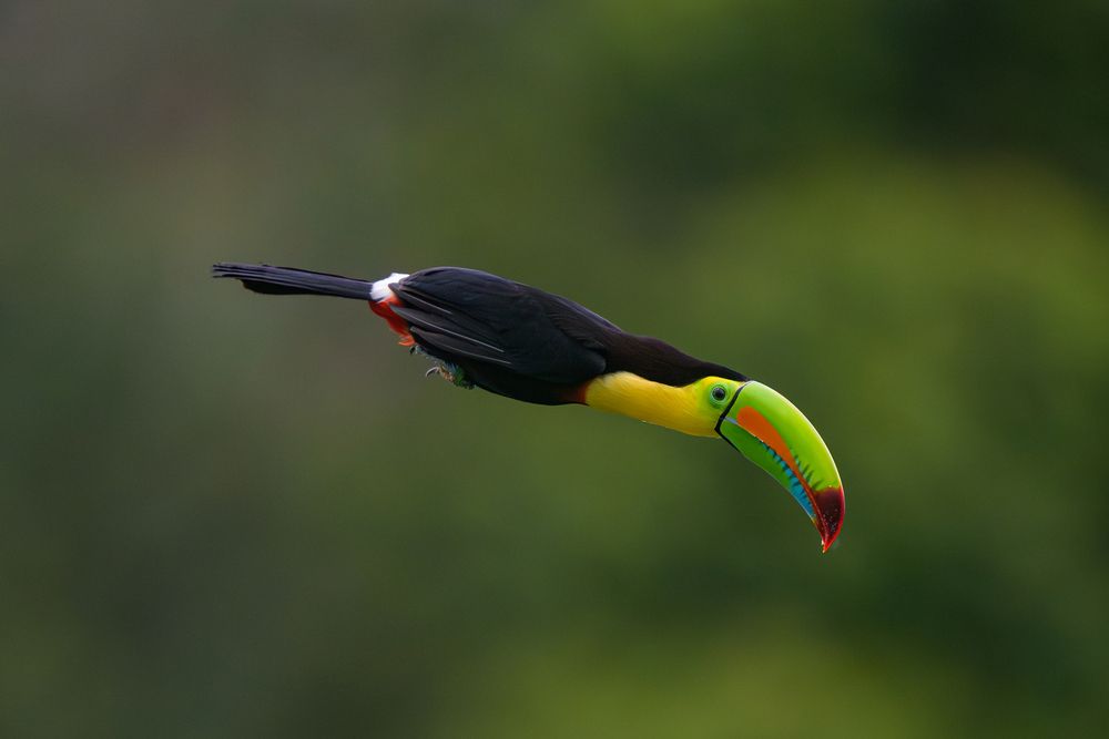 Photograph by Eliud Gil Samaniego