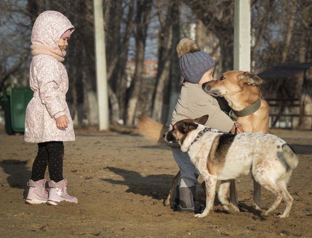 Photograph by Олег Белан