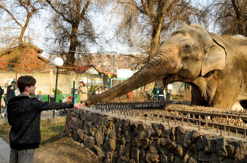 Фотография автора Юлия Подлеснова