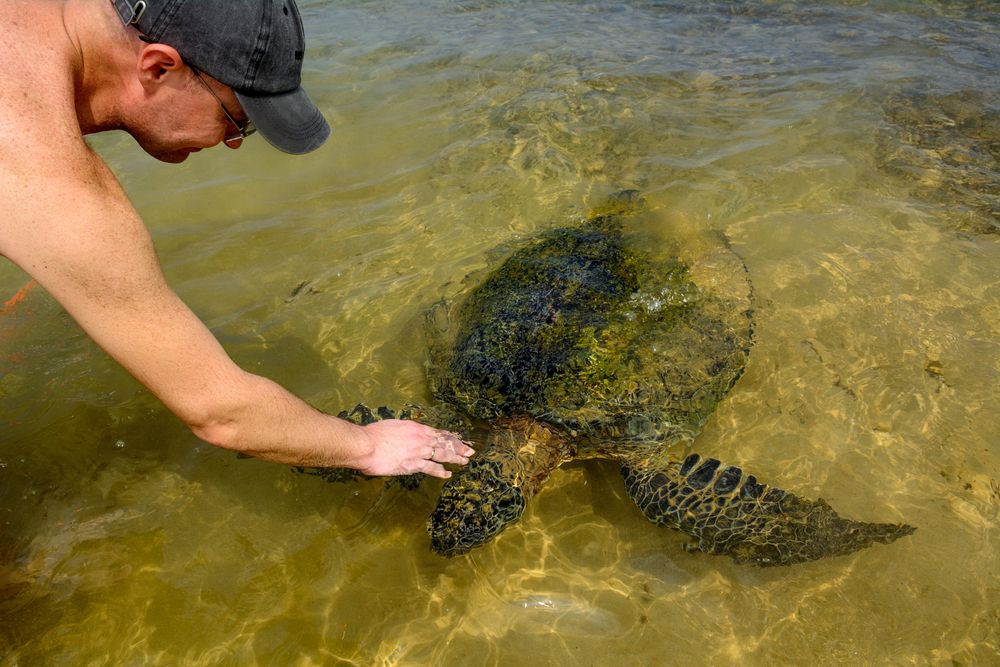 Фотография автора Юлия Подлеснова