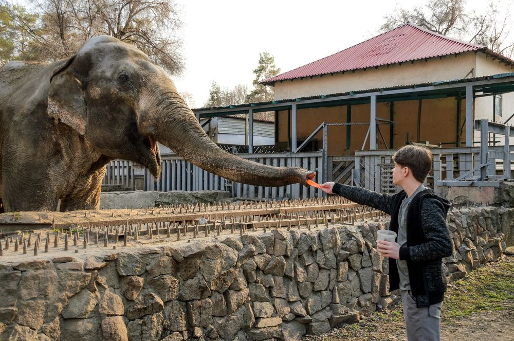 Фотография автора Юлия Подлеснова