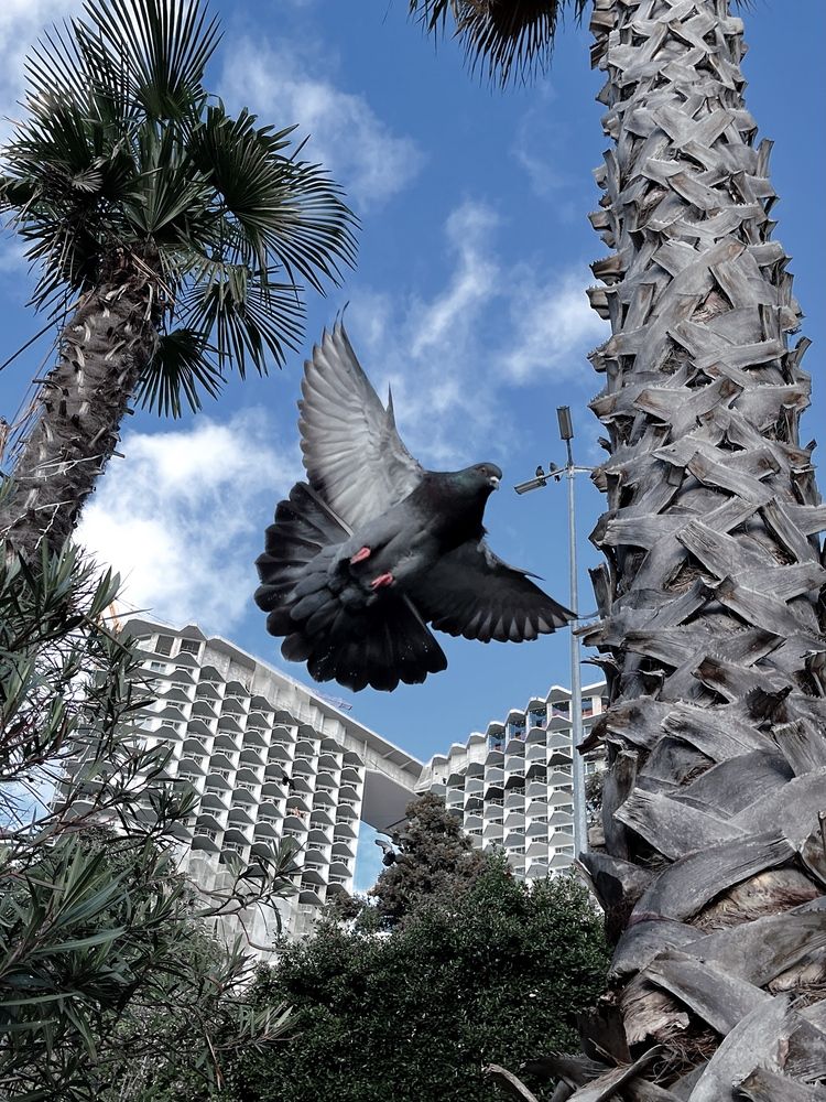 Photograph by Мария Вранковская