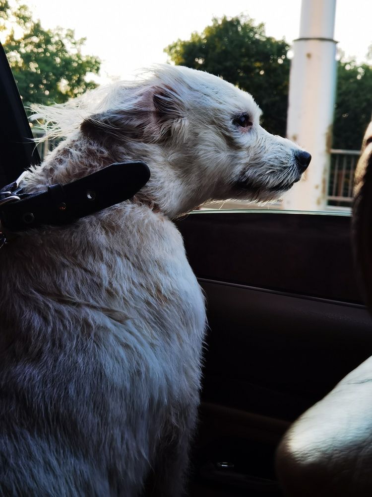 Фотография автора Вовкин Сын