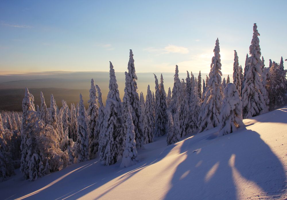 Фотография автора Olga Mamadzanova