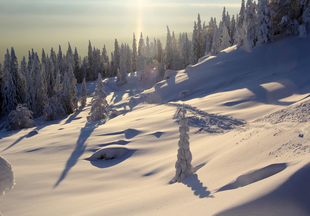 Фотография автора Olga Mamadzanova