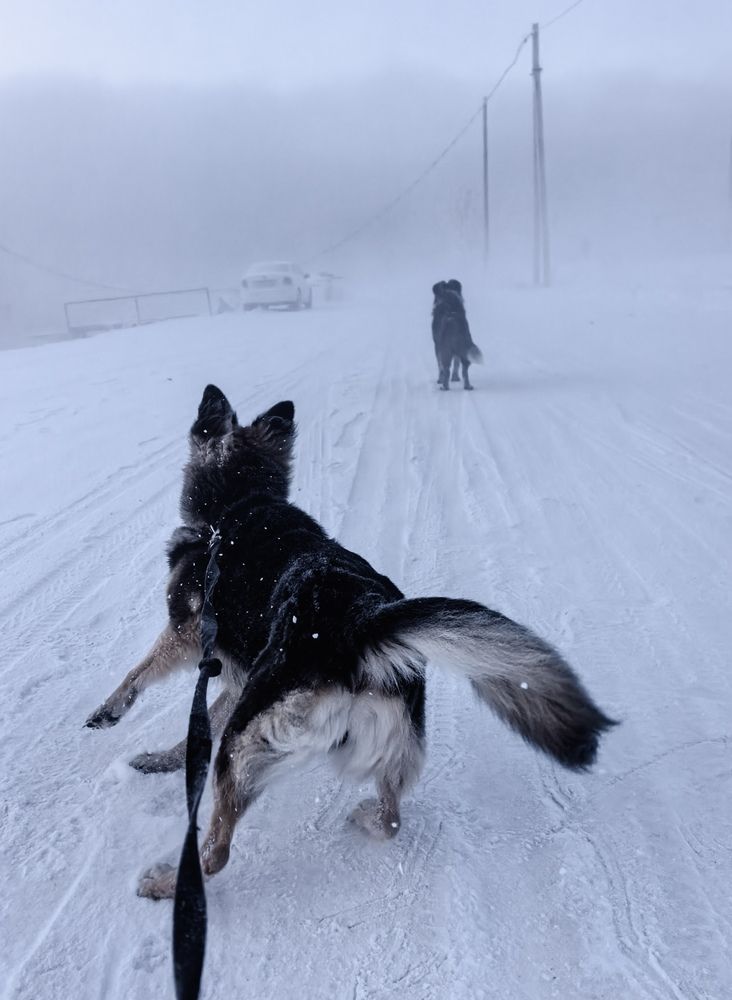 Photograph by Андрей Щипин