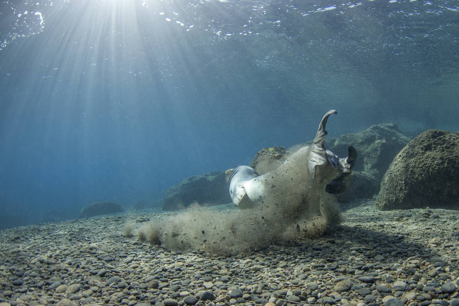 Давай поиграем Давай поиграем