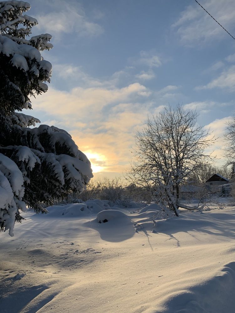 Photograph by Елена