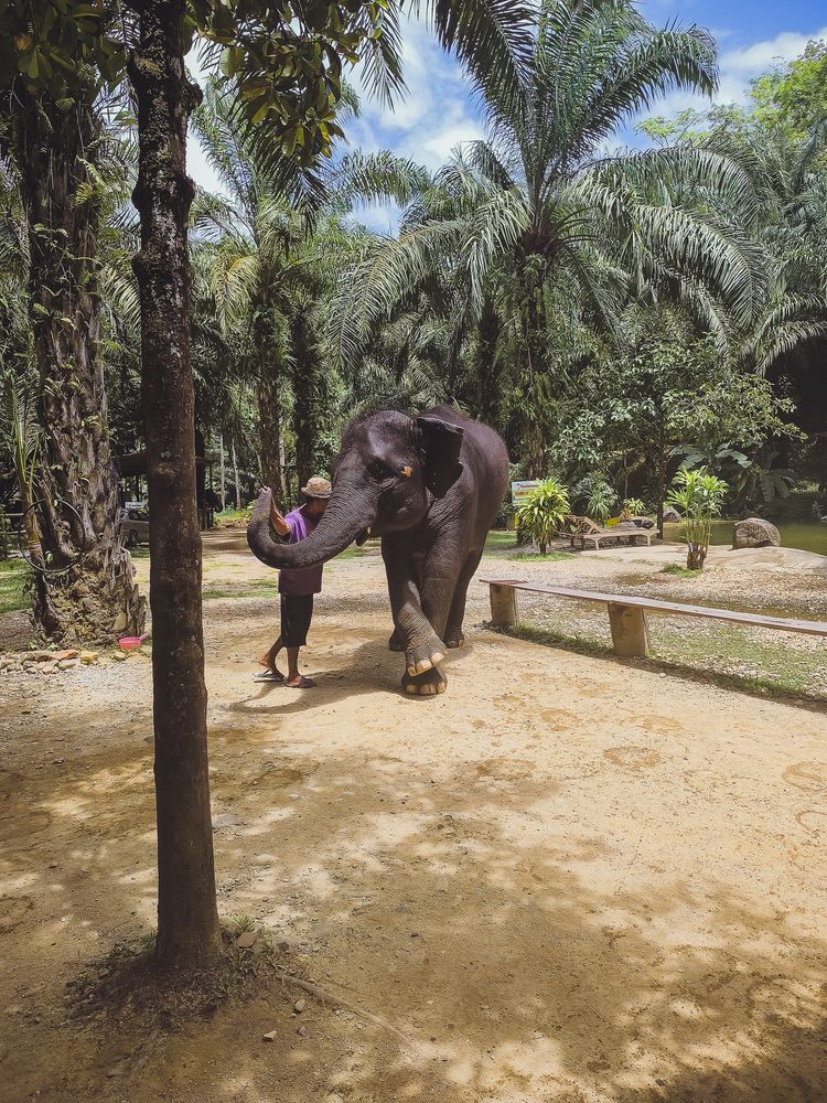 Фотография автора Юлия Подлеснова