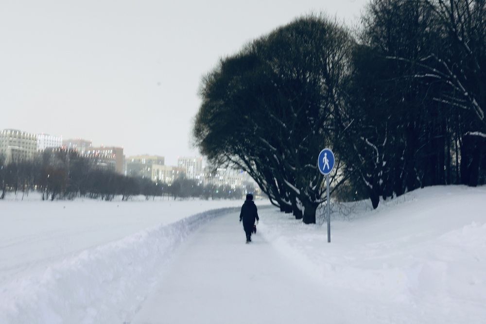 Photo #13141307