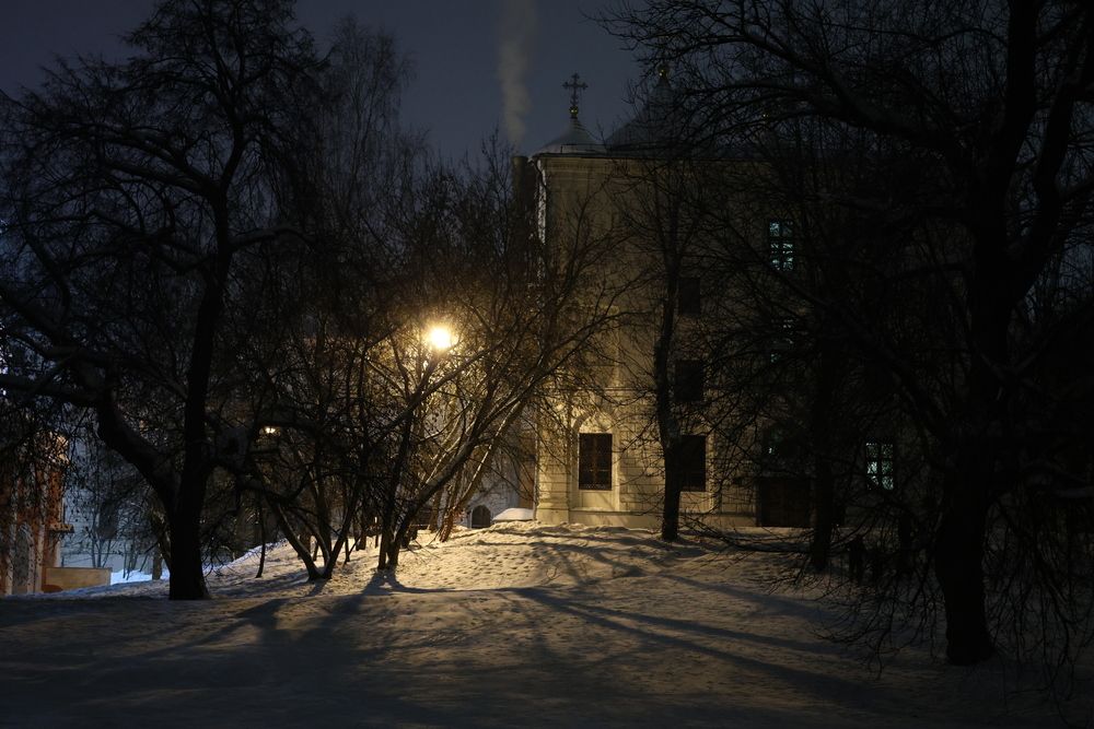 Photo #13141308
