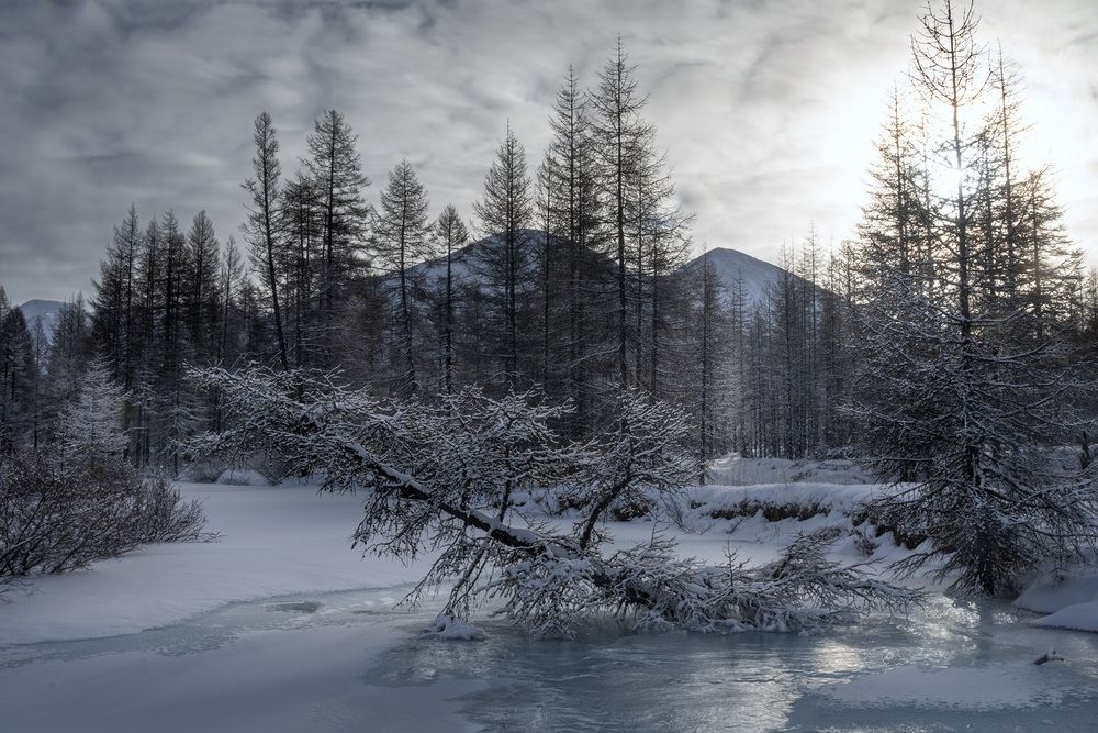 Photograph by Светлана Гореликова