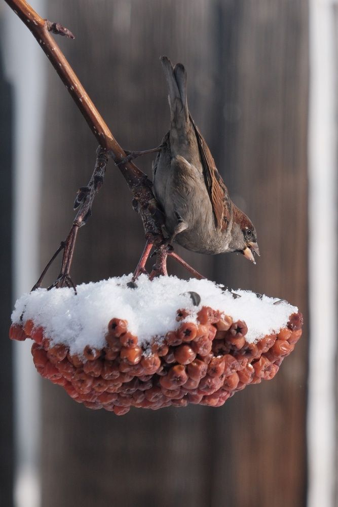 Photograph by Яна Истоцкая