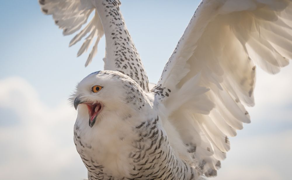 Photograph by Дария Максимова