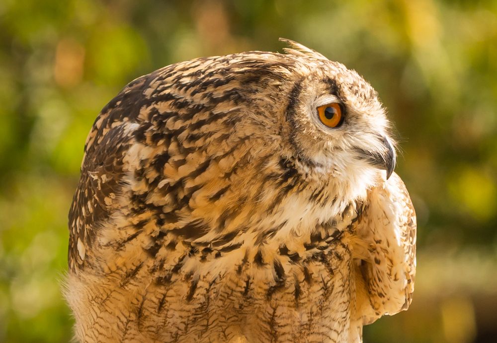 Photograph by Дария Максимова