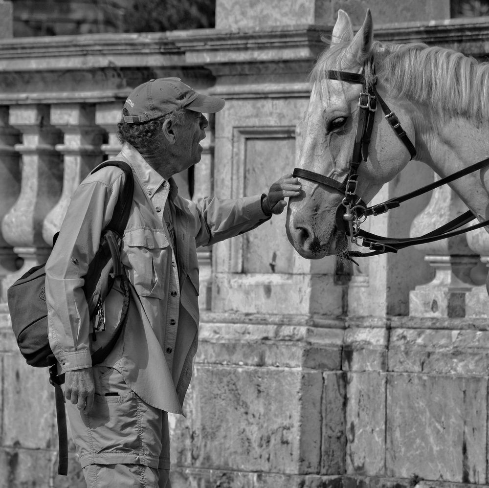 Photograph by Vincenzo Tedesco