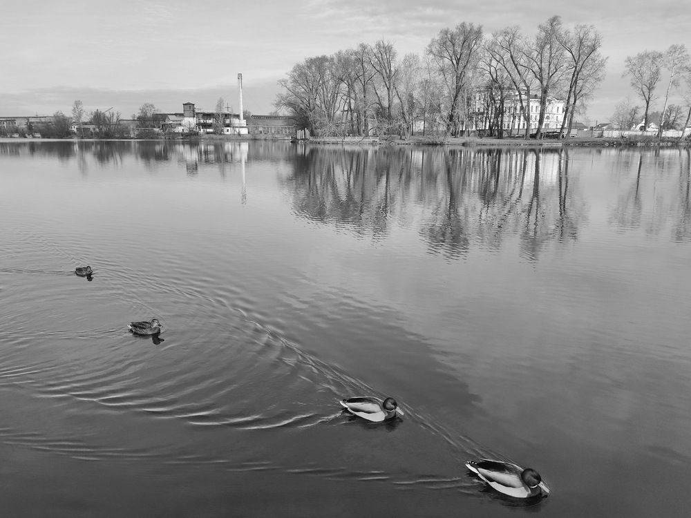 Photograph by Виталий Черепенькин