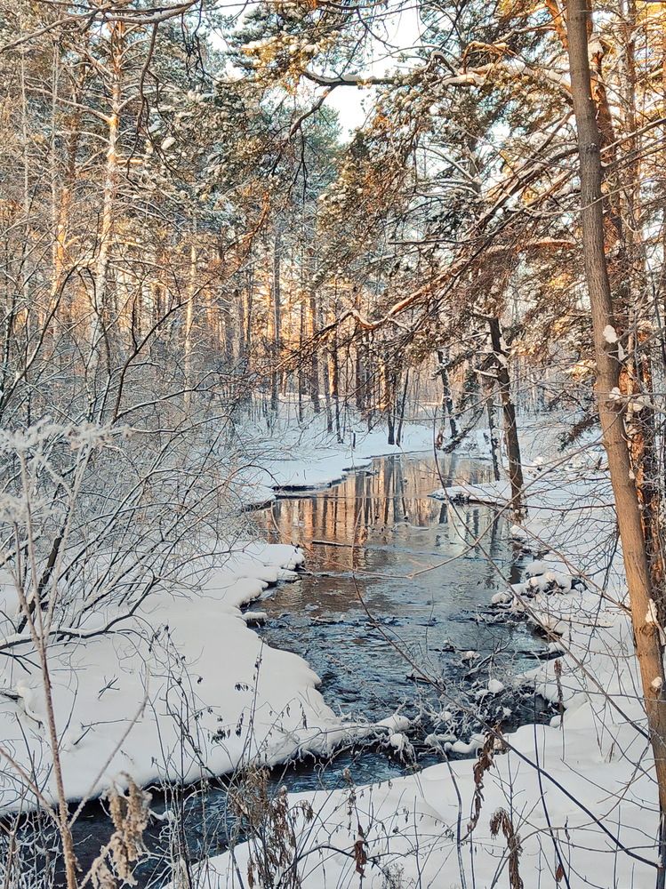 Photograph by Виталий Черепенькин