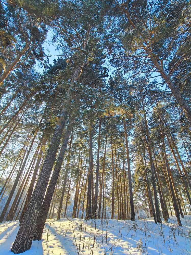 Photograph by Виталий Черепенькин