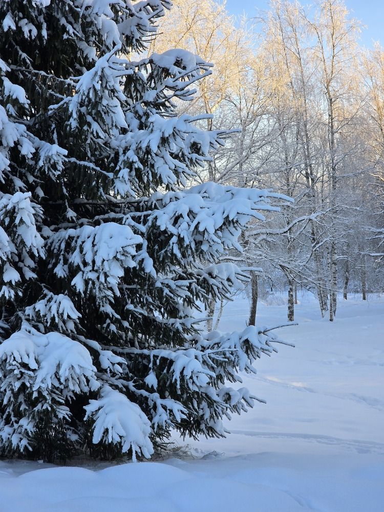 Photograph by Юлия Ханналайнен