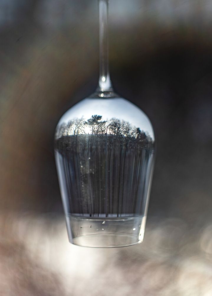 Фотография автора Наталья Пилипенко